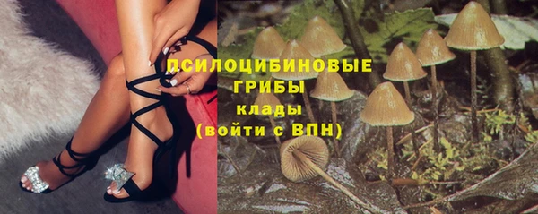 ешки Белокуриха
