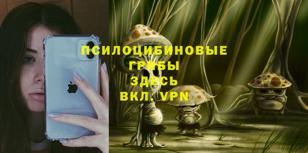 дмт Белоозёрский