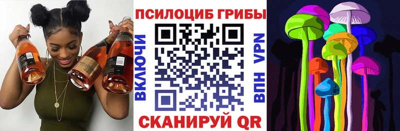 Псилоцибиновые грибы Psilocybine cubensis  Купить где  Джанкой 